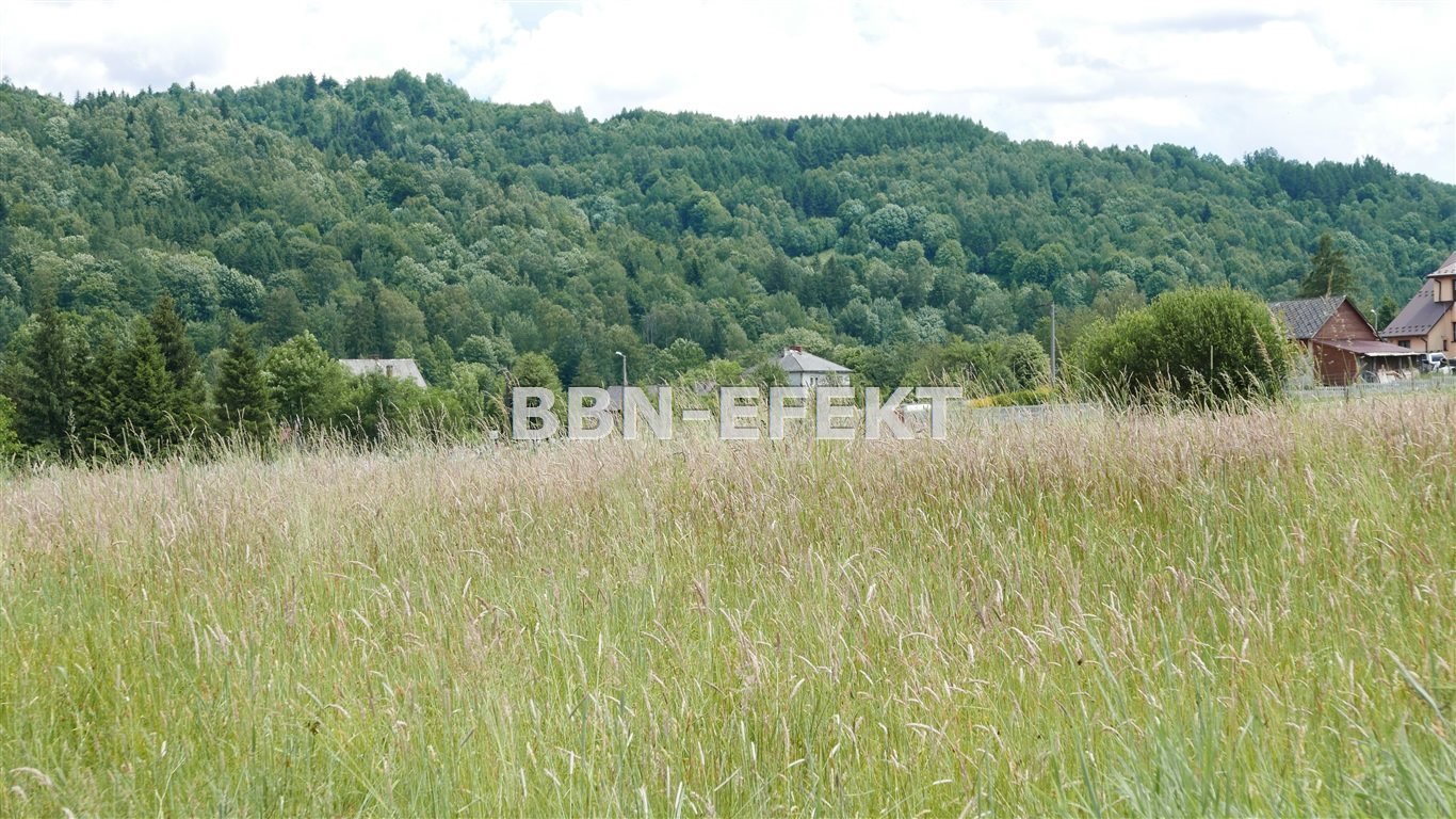 Działka budowlana na sprzedaż Krzyżowa  2 500m2 Foto 4