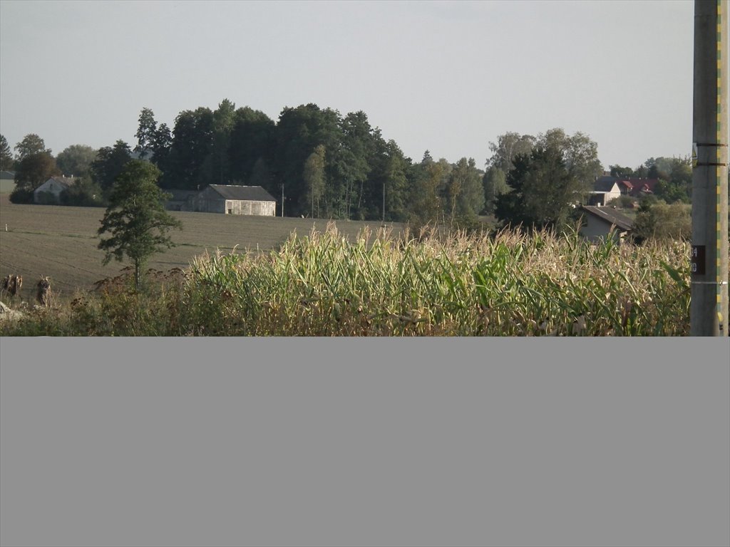 Działka siedliskowa na sprzedaż Bylice, Bylice  3 000m2 Foto 11