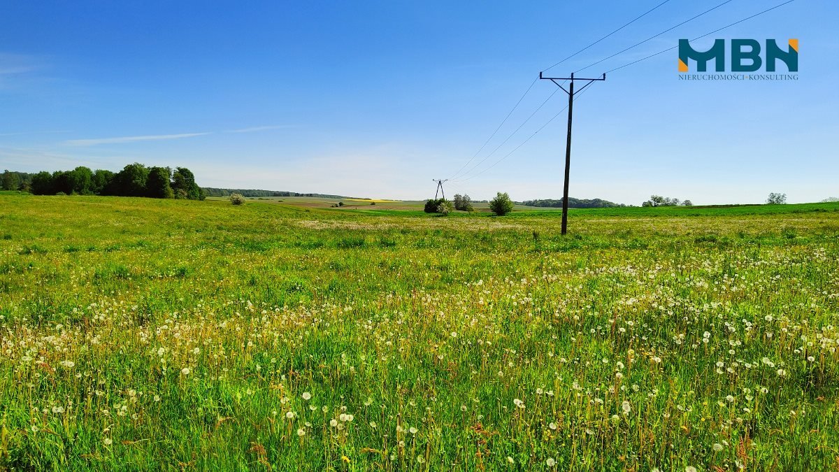 Działka rolna na sprzedaż Węgorzewo, Rudziszki  21 800m2 Foto 15