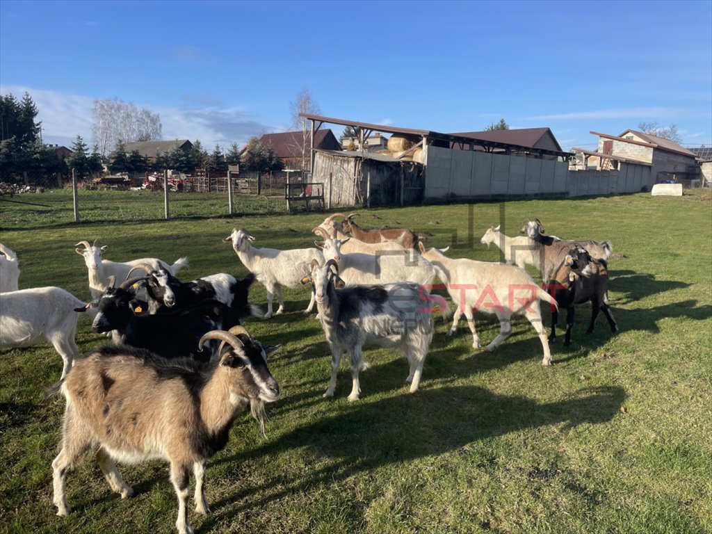Dom na sprzedaż Korabiewice  100m2 Foto 1