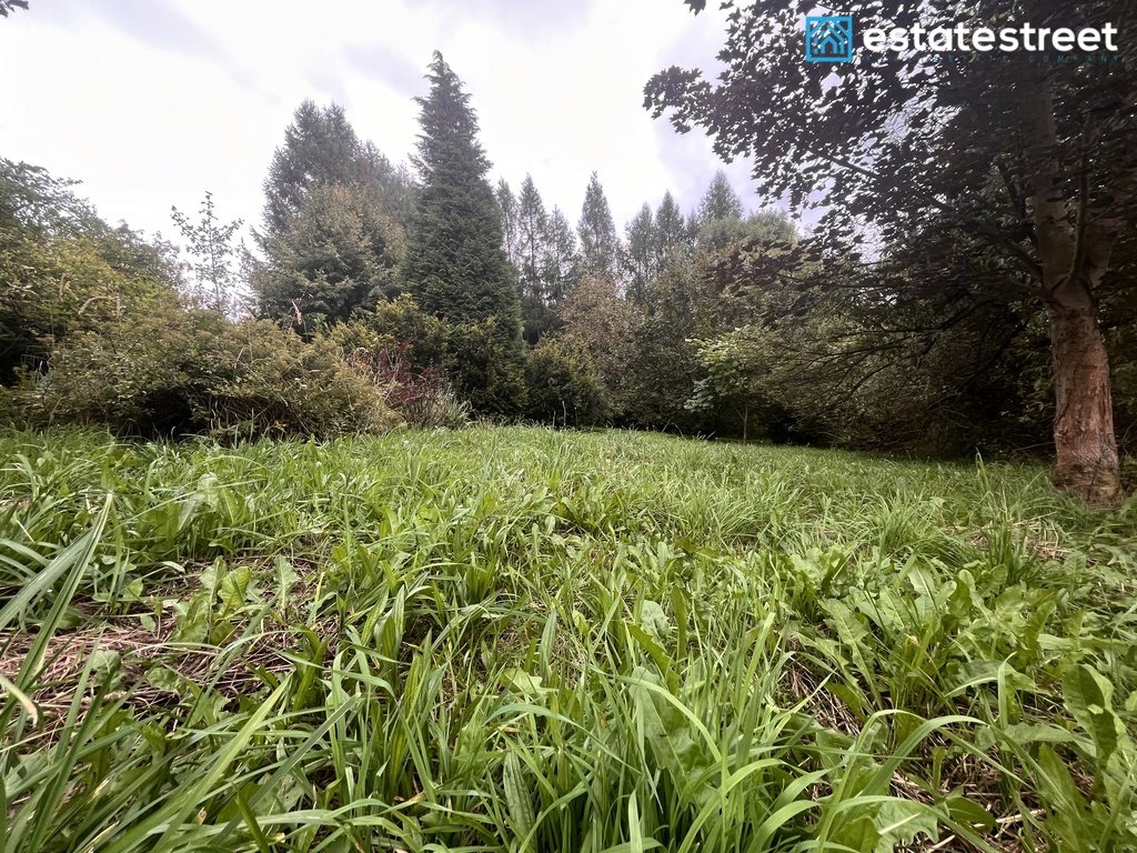 Działka budowlana na sprzedaż Brzoskwinia  3 900m2 Foto 8