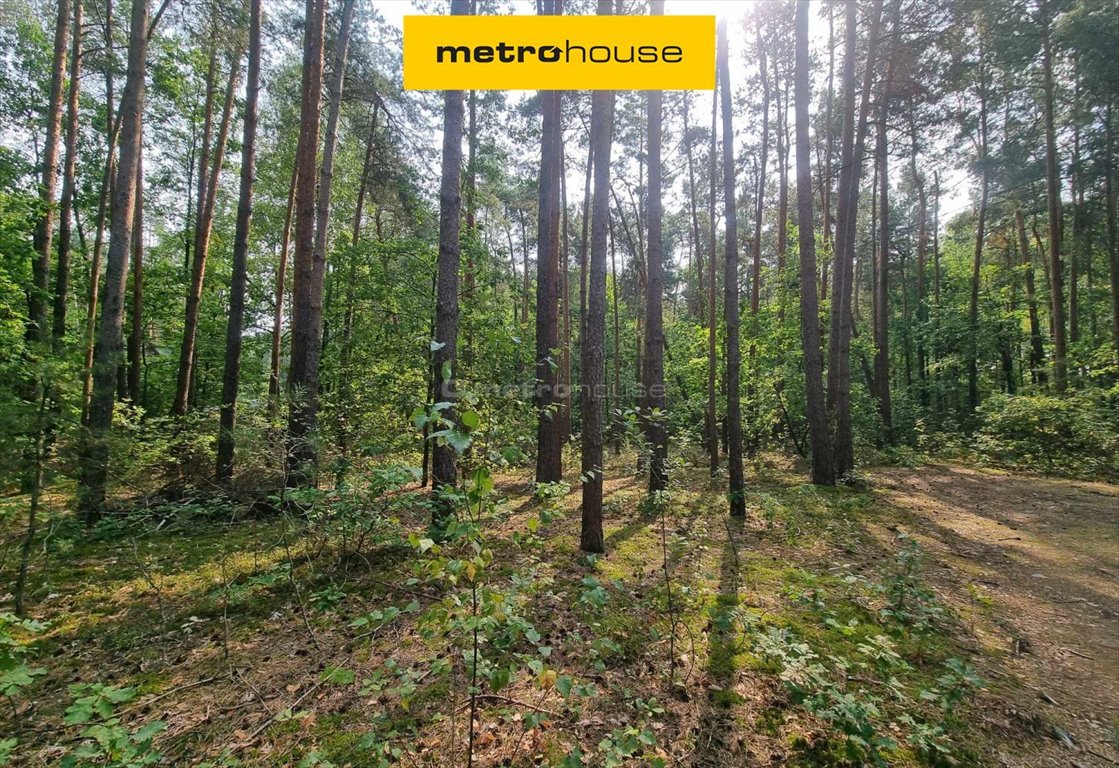 Działka rekreacyjna na sprzedaż Mierzwice-Kolonia  2 600m2 Foto 1