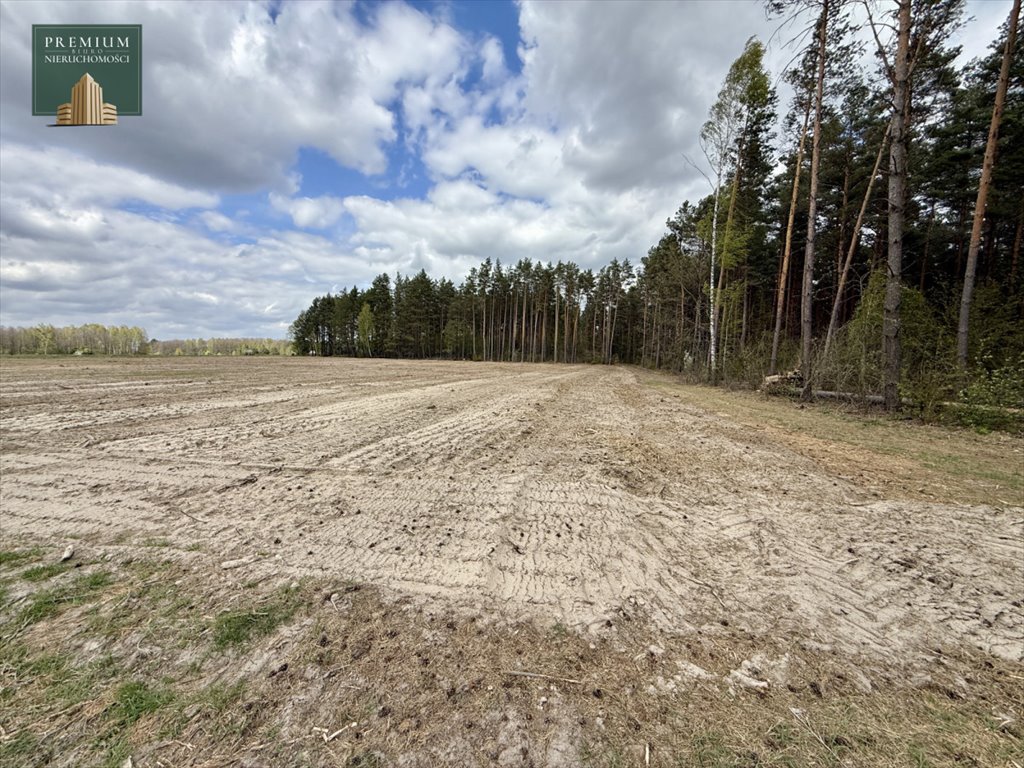 Działka rolna z warunkami zabudowy w Koźlikach - polecam Koźliki  3 000m2 Foto 1