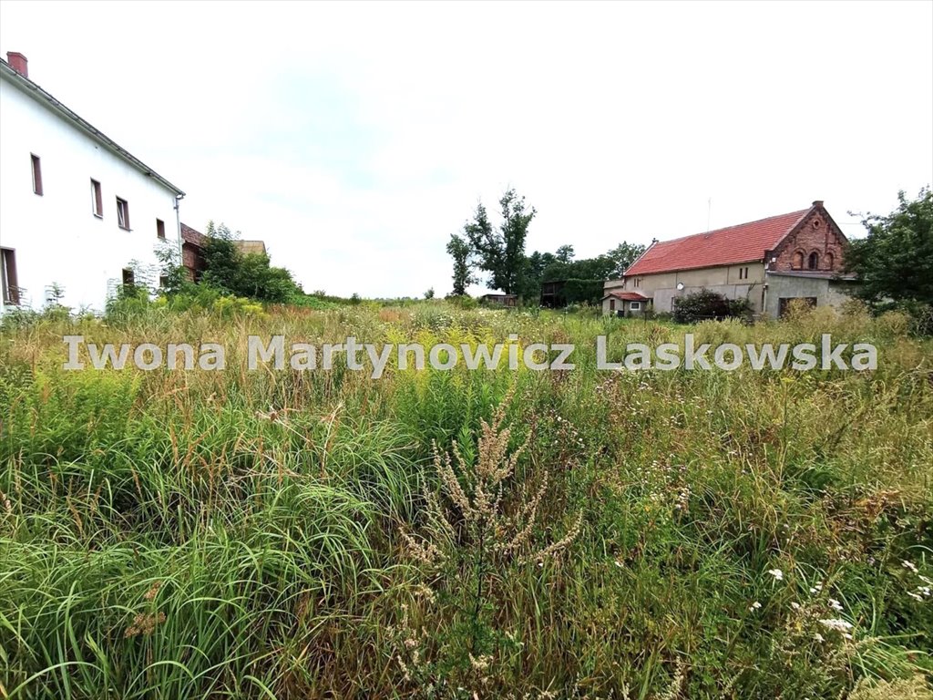 Działka inna na sprzedaż Krzyżowa  2 777m2 Foto 3