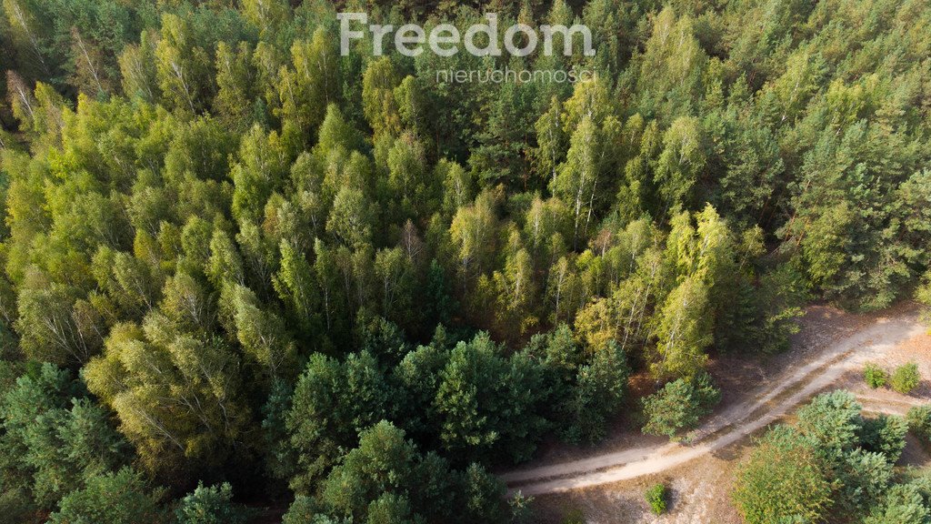 Działka leśna na sprzedaż Koźliki  12 401m2 Foto 3