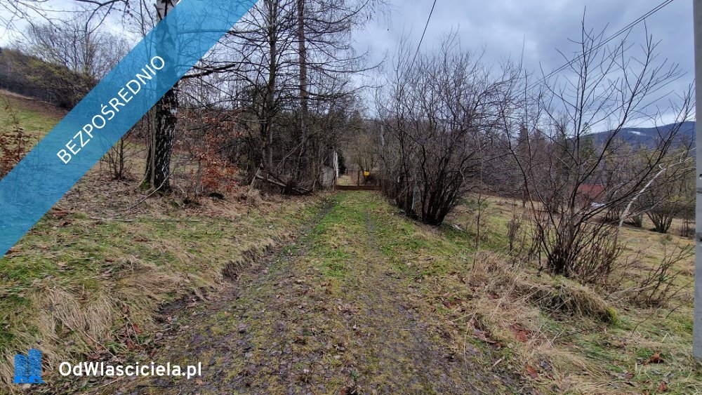 Działka 58 480 m² w Ustroniu (bez prowizji, przetarg): Ustroń