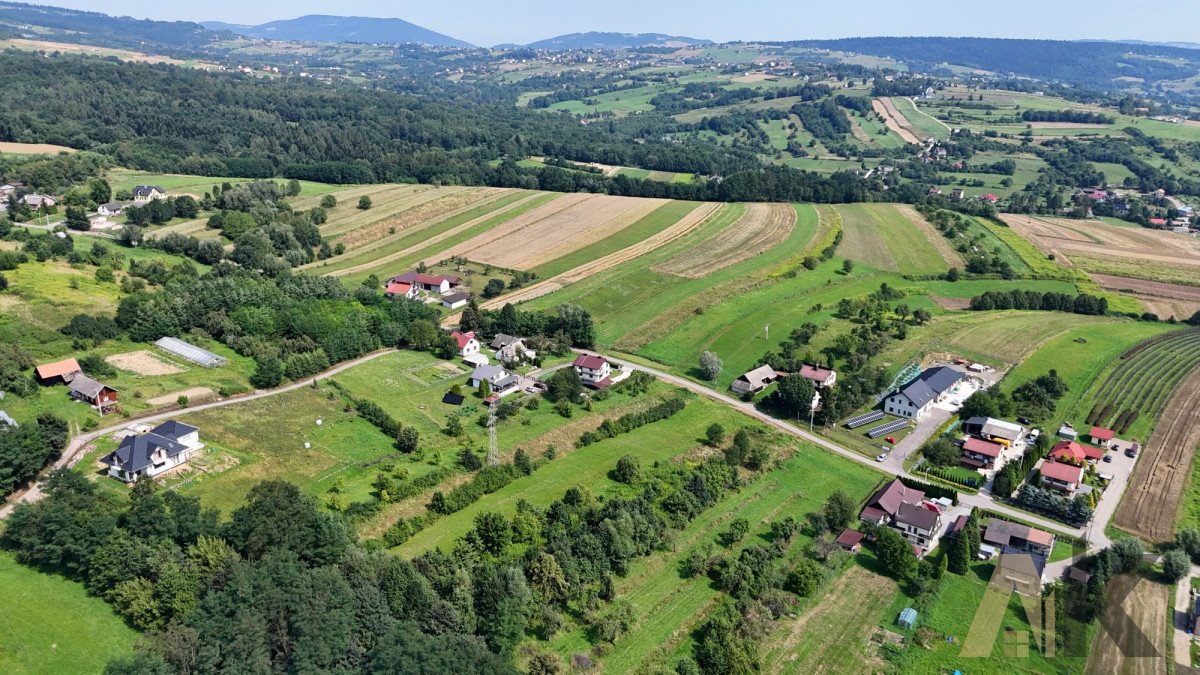 Działka budowlana na sprzedaż Chochorowice  3 800m2 Foto 7