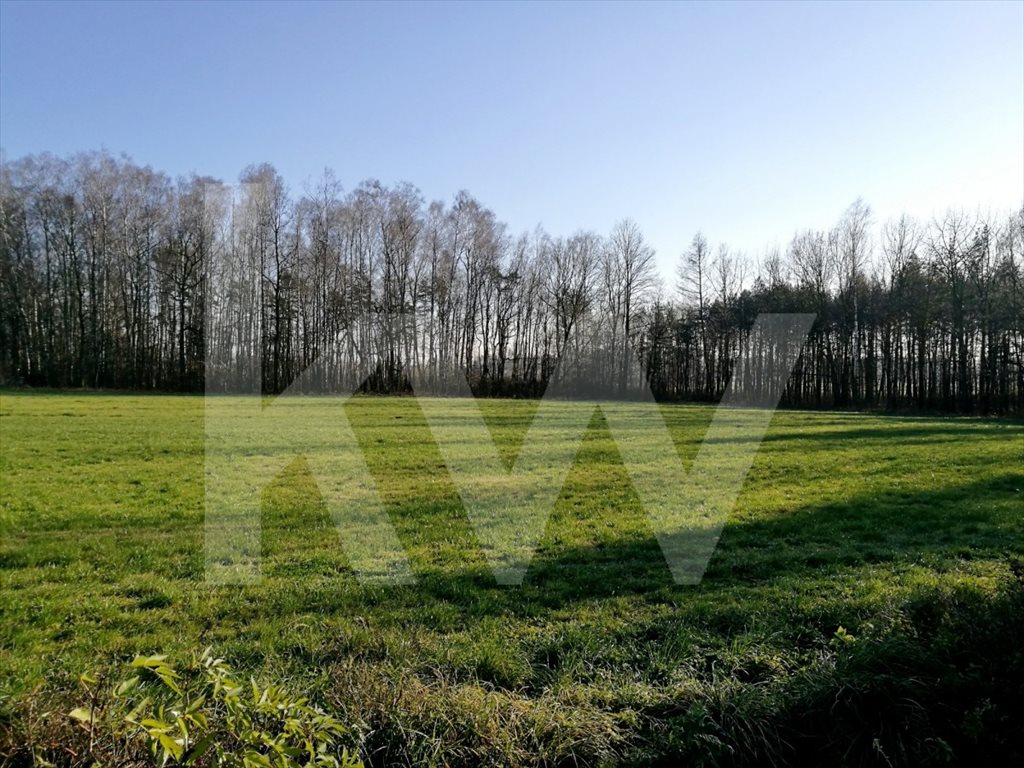 Działka budowlana na sprzedaż Brzeźce 3 700m2 Foto 1 Działka budowlana na sprzedaż Brzeźce 3 700m2 Foto 1