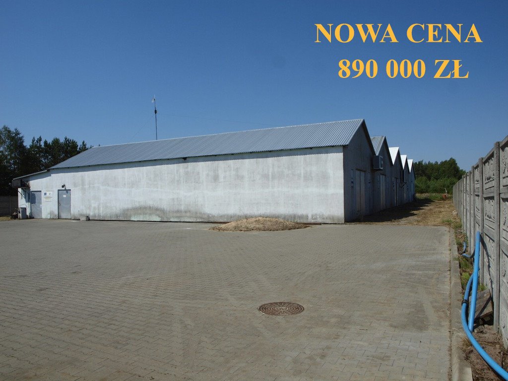 Magazyn pieczarkarnia 943 m² z wyposażeniem i dostępem do drogi krajowej Kaliłów  944m2 Foto 1