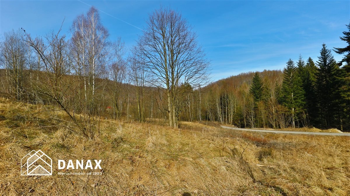 Działka 45,55 ara z możliwością zabudowy i pensjonatu polecam Juszczyn  4 555m2 Foto 1