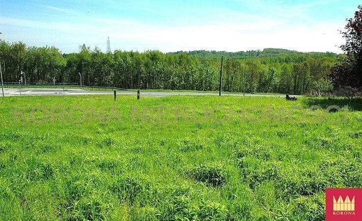 Działka komercyjna na sprzedaż Rybnik 11 783m2 Foto 1 Działka komercyjna na sprzedaż Rybnik 11 783m2 Foto 1