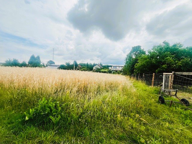 Sprzedam działkę pod zabudowę jednorodzinną 1000 m² w Kołdowie Kołdowo  1 000m2 Foto 1