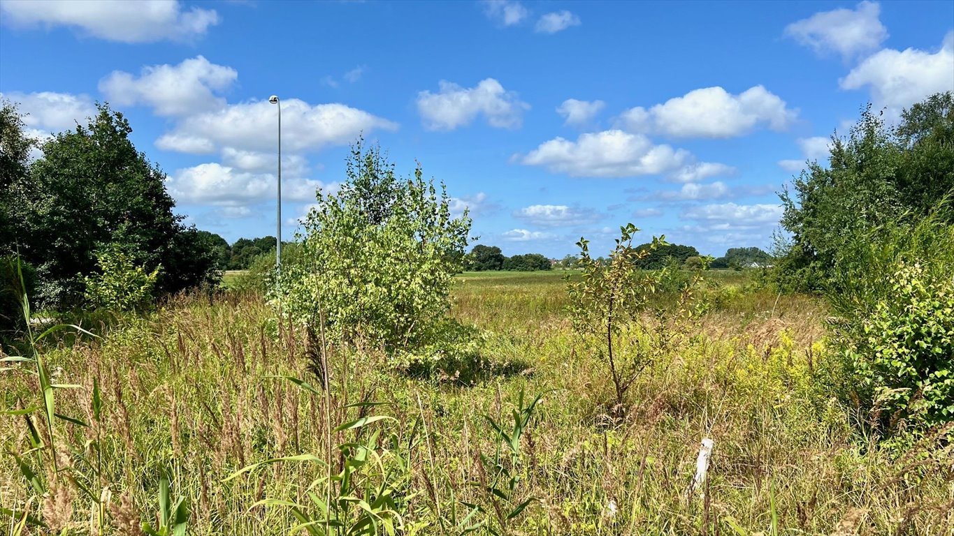 Działka budowlana na sprzedaż Budzistowo, Stare Miasto  1 591m2 Foto 9