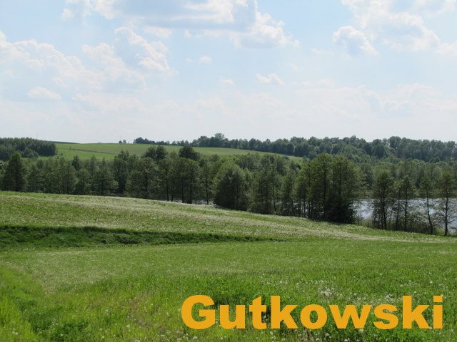 Działka rolna na sprzedaż Jamielnik, gmina Nowe Miasto Lubawskie  10 005m2 Foto 5