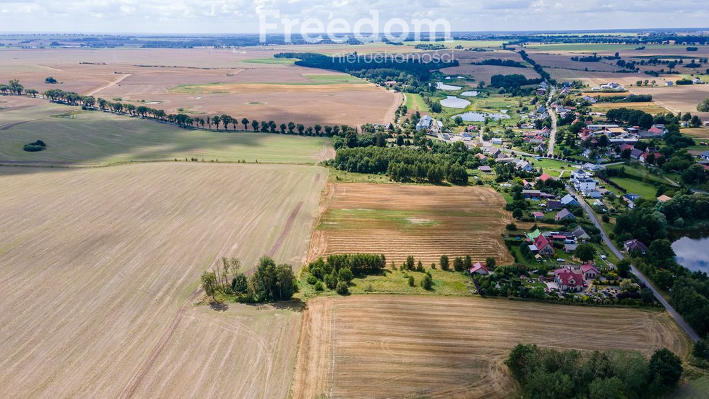 Działka inna na sprzedaż Dobino  3 600m2 Foto 7