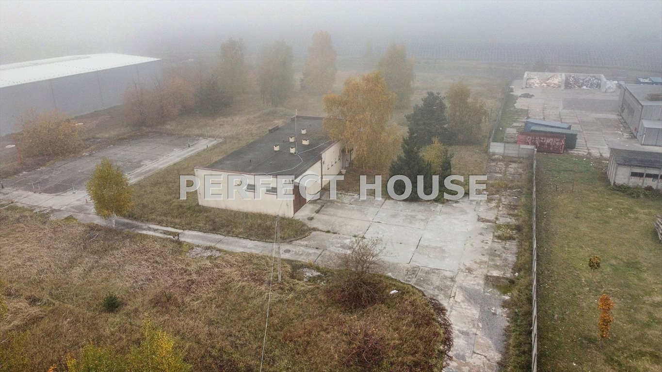 Działka przemysłowo-handlowa na sprzedaż Paterek  10 682m2 Foto 4