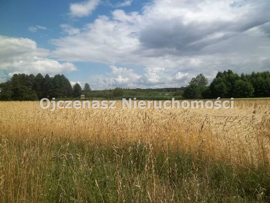 Działka inna na sprzedaż Mrocza, Wiele  4 029m2 Foto 3