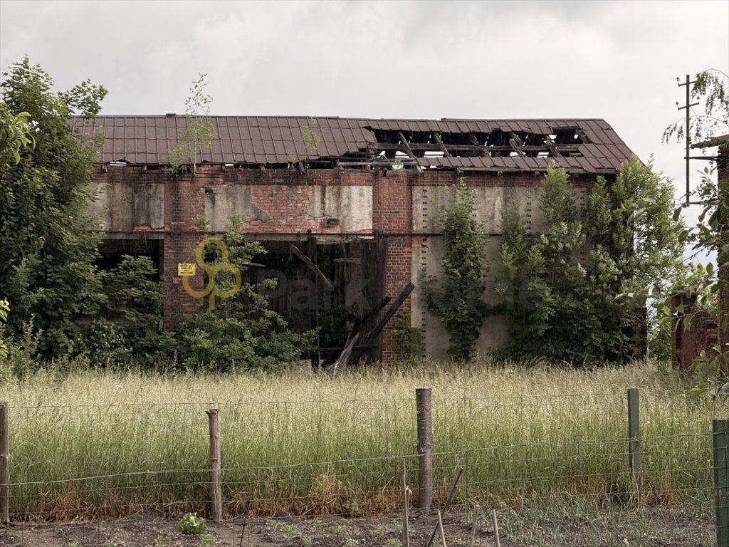 Działka 882 m² z budynkiem w Szprotawie, inwestycyjna okazja Szprotawa  882m2 Foto 1