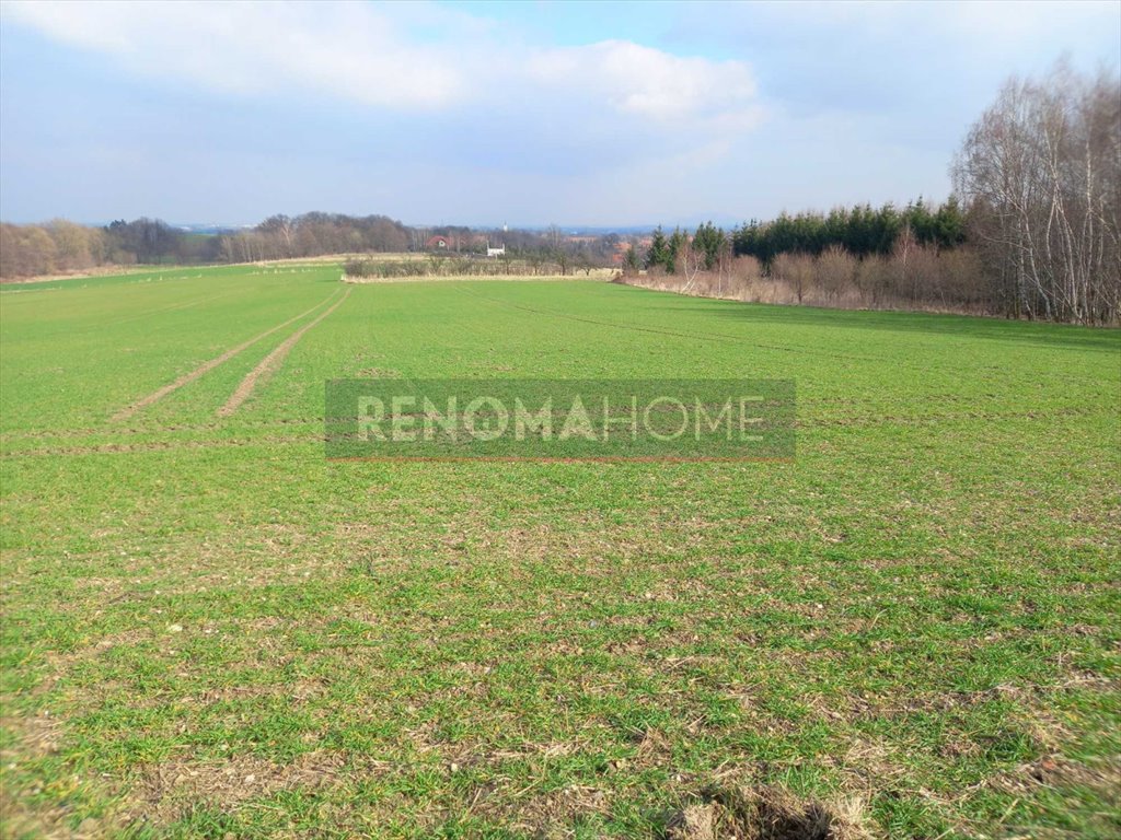 Działka budowlana na sprzedaż Witoszów Górny  1 518m2 Foto 3