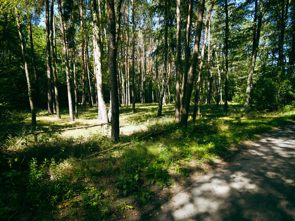Działki budowlane w Księstwie – spokój i bliskość Łodzi Księstwo  1 352m2 Foto 1