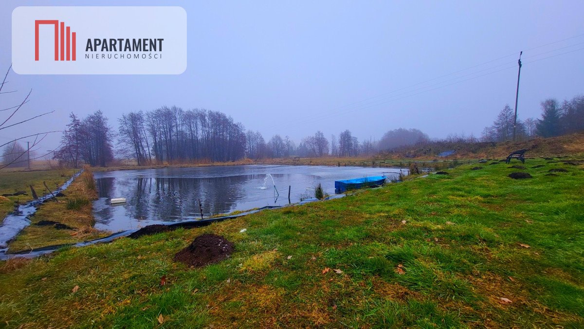 Działka z zarybionym stawem 1400 m² w Czarmuni polecam Czarmuń  6 010m2 Foto 1