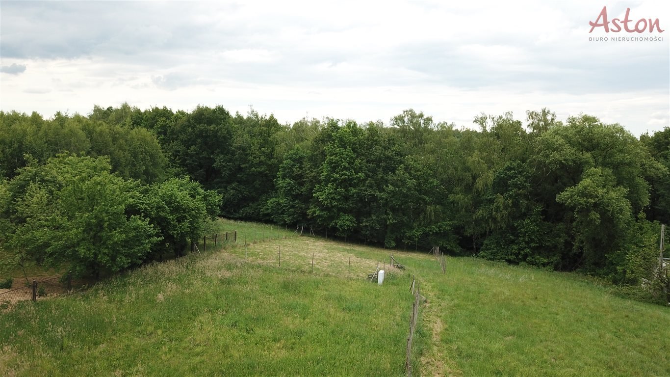 Działka budowlana na sprzedaż Mysłowice, Morgi, Pukowca  1 053m2 Foto 5