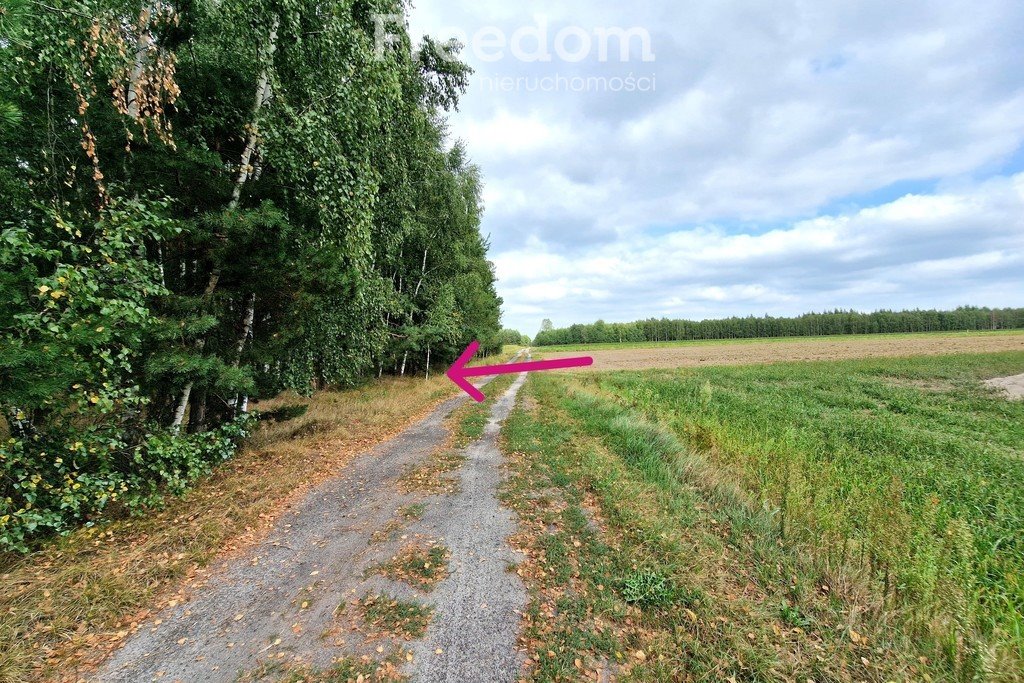 Działka inna na sprzedaż Musiejówka  8 100m2 Foto 9