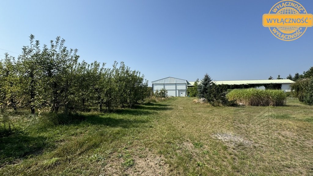 Magazyn na sprzedaż Dobiegniew  2 162m2 Foto 9