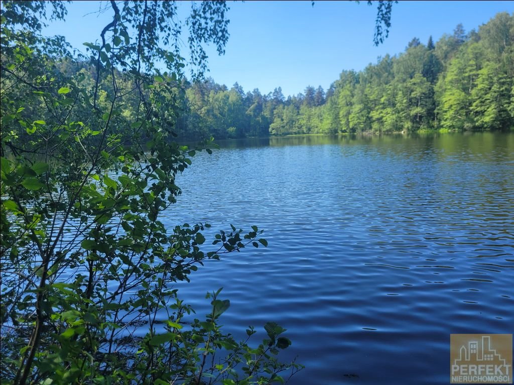 Działka rolna na sprzedaż Gamerki Wielkie, Gamerki Wielkie, W Sąsiedztwie Lasu  3 002m2 Foto 7