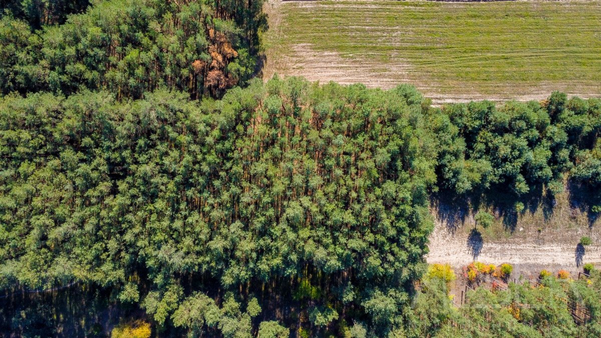 Działka rekreacyjna na sprzedaż Michałowo  9 500m2 Foto 7