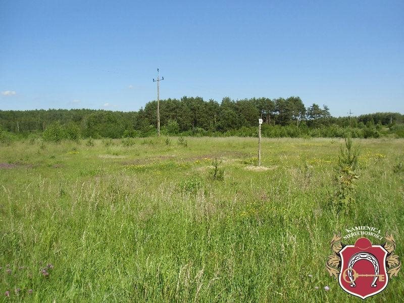 Działka komercyjna na sprzedaż Zakrzewo 14 600m2 Foto 1 Działka komercyjna na sprzedaż Zakrzewo 14 600m2 Foto 1