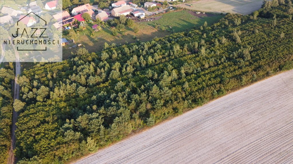 Działka siedliskowa na sprzedaż Ulinia  25 483m2 Foto 3