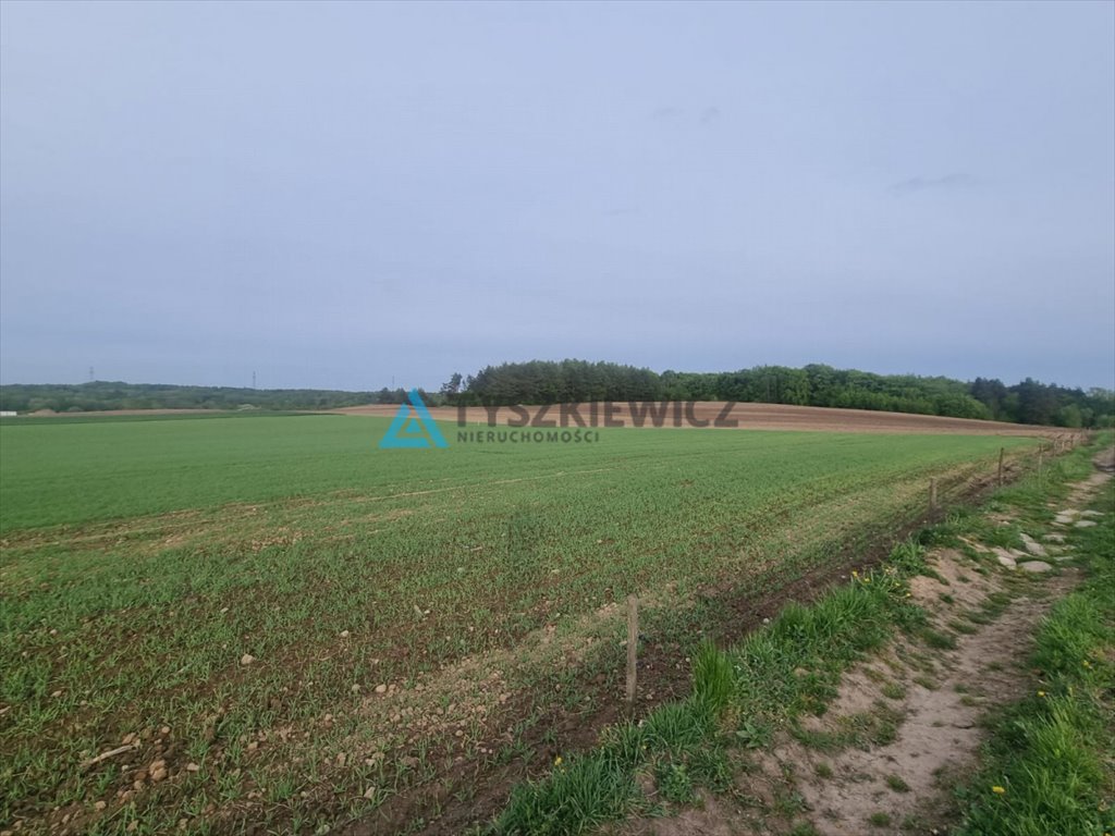 Działka rolna na sprzedaż Mierzeszyn  44 200m2 Foto 9