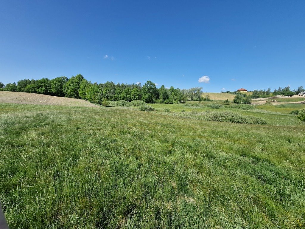 Działka budowlana na sprzedaż Szarłata, Spadzista  15 977m2 Foto 15