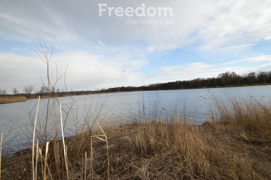 Działka inwestycyjna na sprzedaż Brzeziny  520 000m2 Foto 8