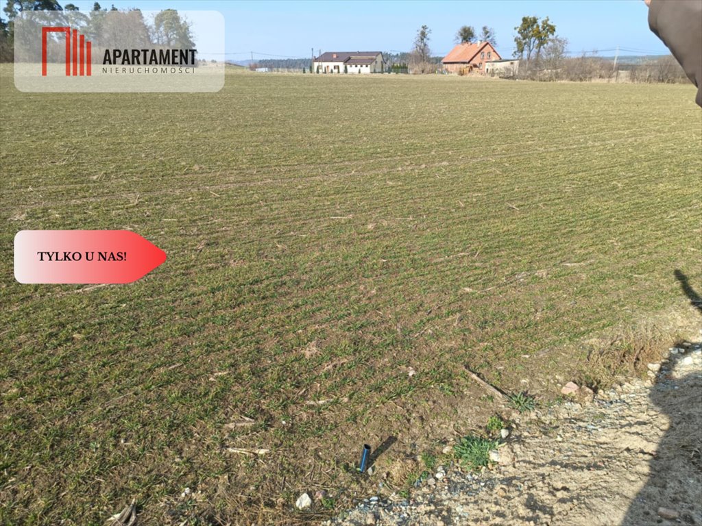 Działka budowlana na sprzedaż Osetno  11 800m2 Foto 10