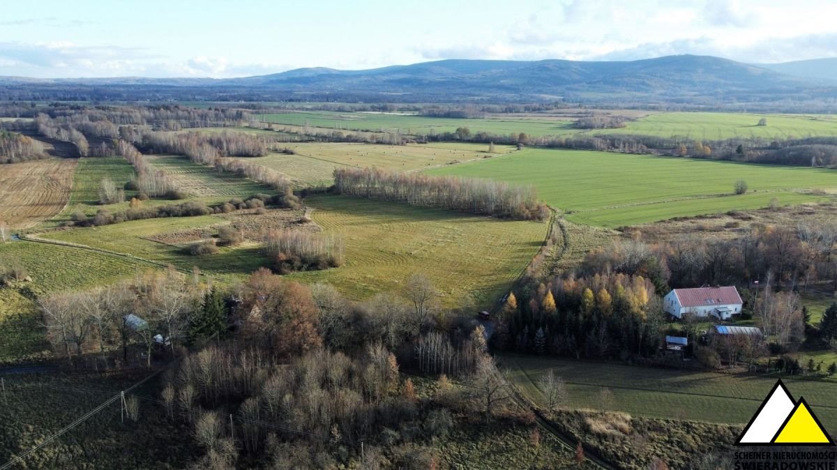 Działka budowlana na sprzedaż Wolimierz  6 000m2 Foto 1