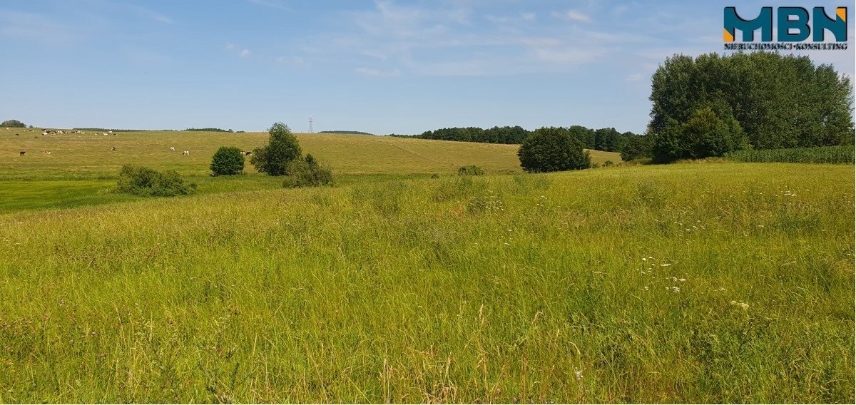 Działka rolna na sprzedaż Stręgielek, Stręgielek  3 035m2 Foto 3