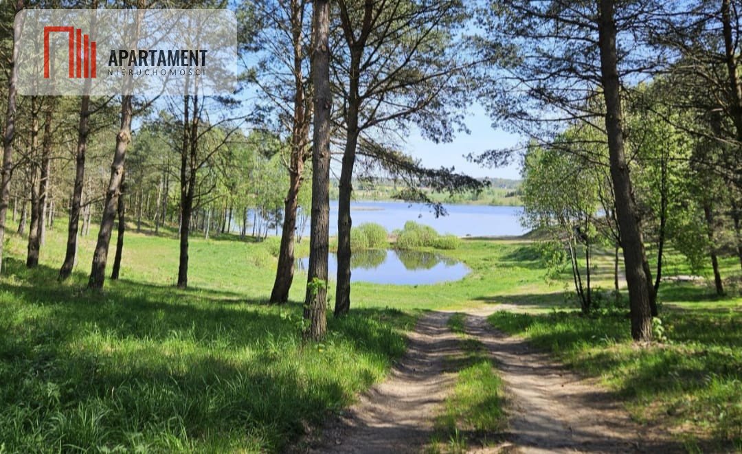 Działka gospodarstwo rolne na sprzedaż Przęsin  3 000m2 Foto 15