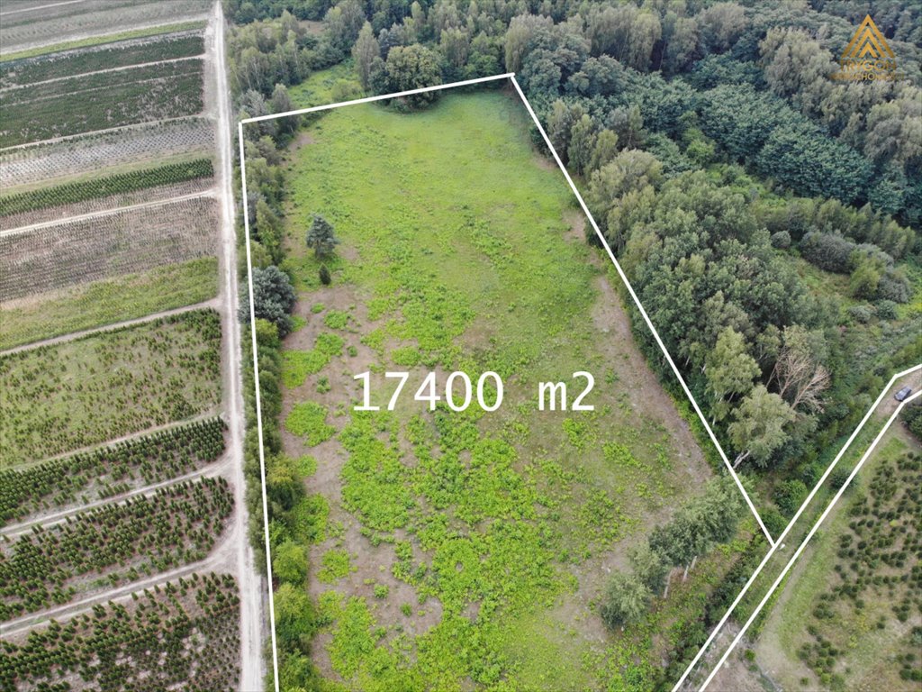 Działka rolna na sprzedaż Gąba  17 400m2 Foto 1