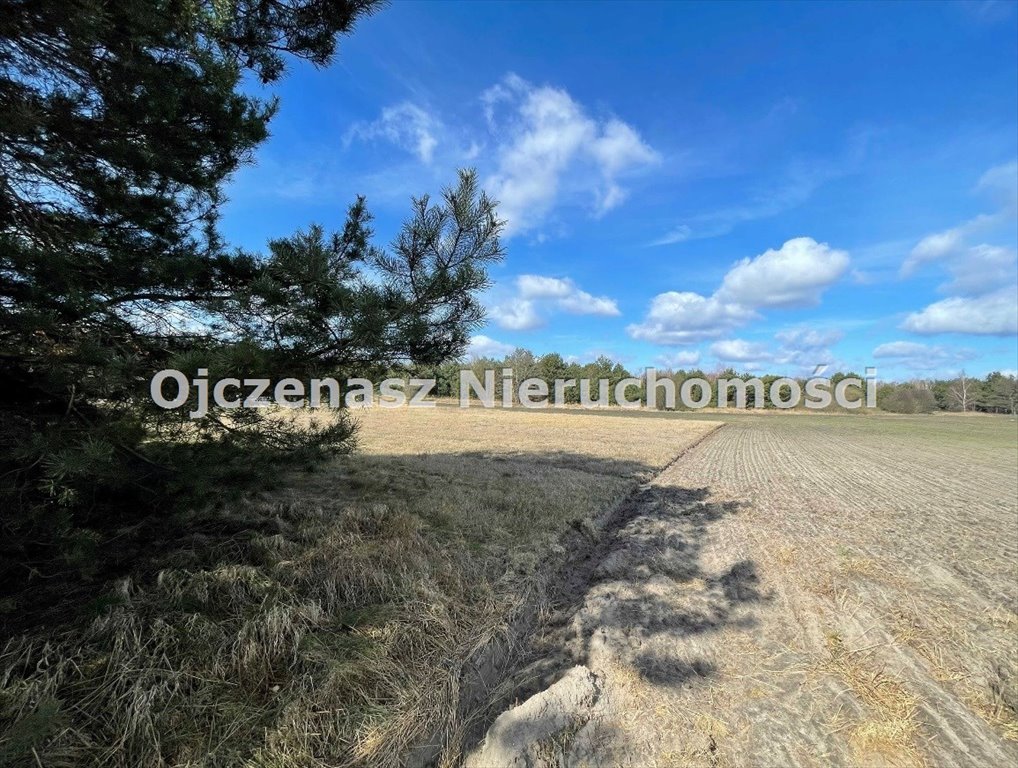 Działka inwestycyjna na sprzedaż Wilcze  9 449m2 Foto 3