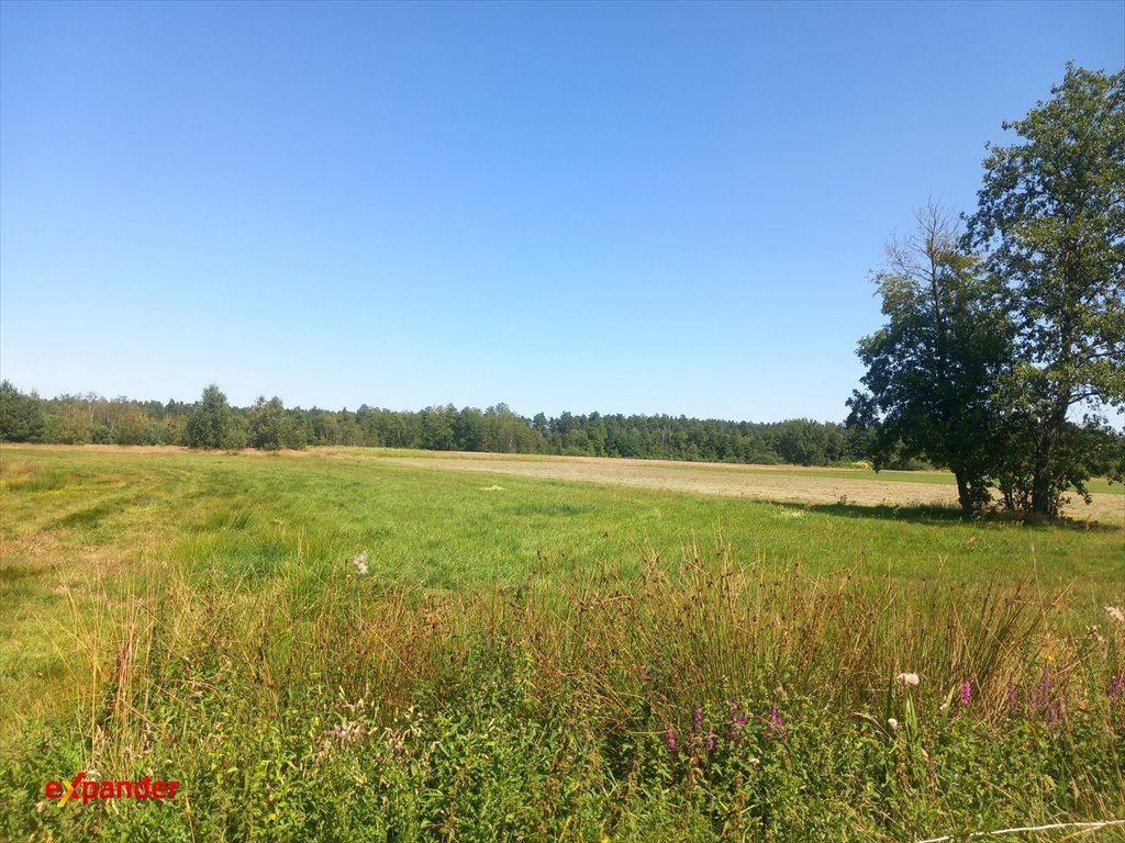 Działka rolna 1,63 ha w Likcu z mediami i lasem Likiec  16 300m2 Foto 1