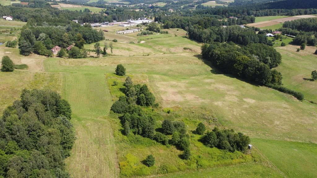 Działka budowlana na sprzedaż Lutcza  107 000m2 Foto 13