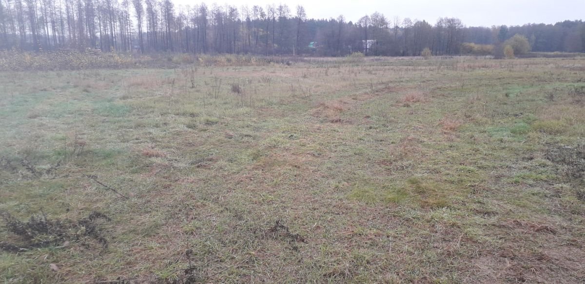 Działka gospodarstwo rolne na sprzedaż Zabłudów  3 000m2 Foto 2