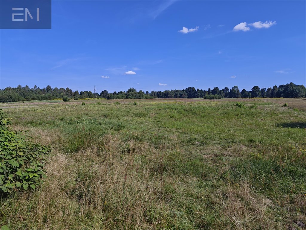 Działka rolna na sprzedaż Wilcza Wola  6 800m2 Foto 4