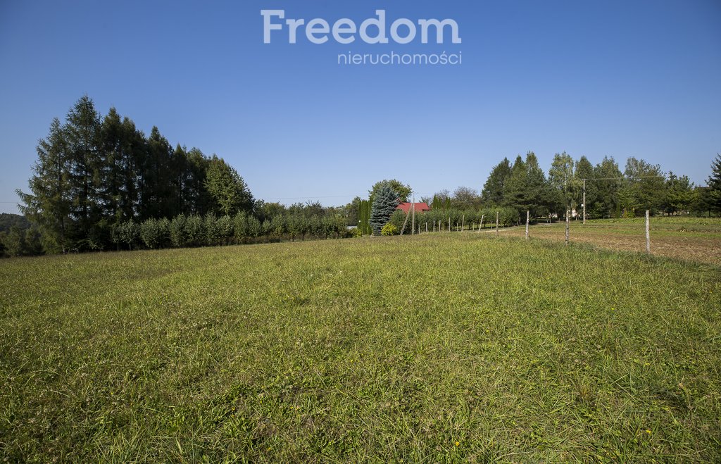 Działka budowlana na sprzedaż Chmielnik  1 600m2 Foto 8