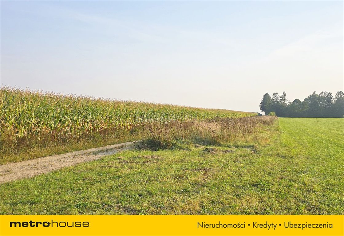 Działka inna na sprzedaż Połczyno, Leśna  1 001m2 Foto 5