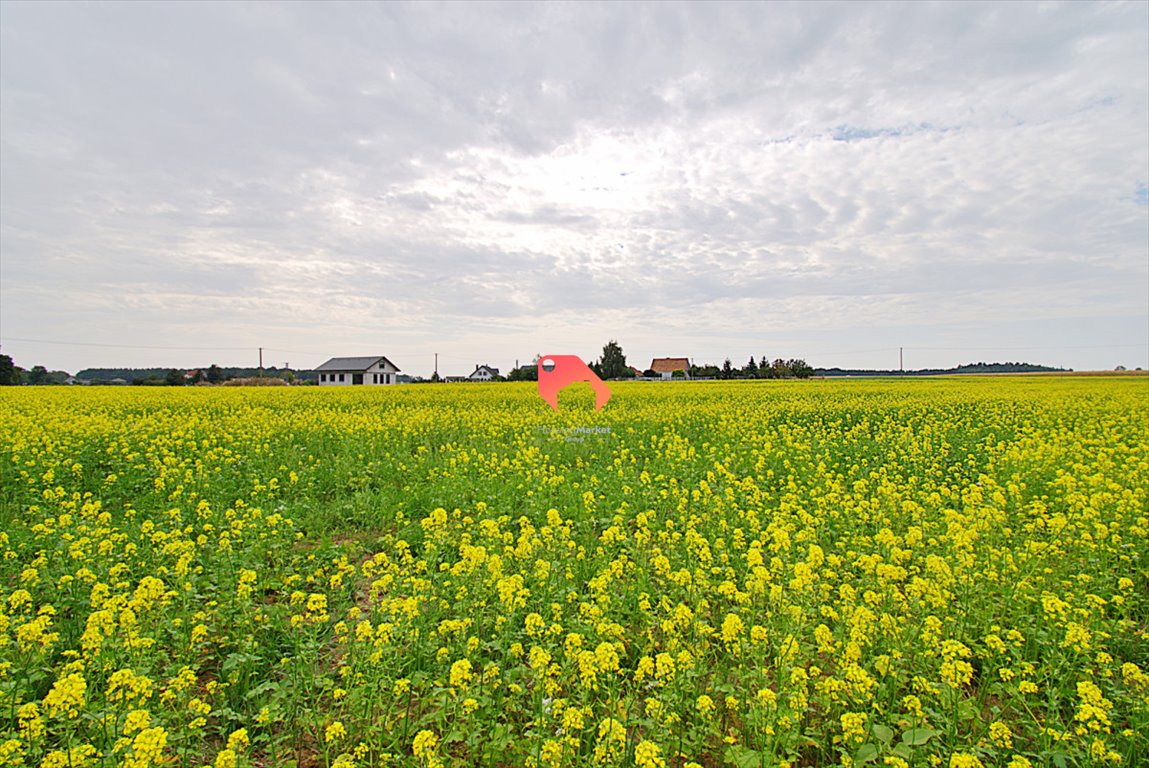 Działka 1123 m2 w Dąbrówce Kujawskiej, media, szerokie możliwości Dąbrówka Kujawska  1 123m2 Foto 1