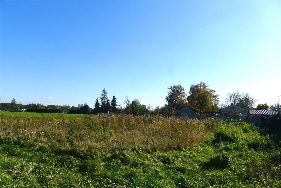 Działka inna na sprzedaż Cedrowice  1 000m2 Foto 6