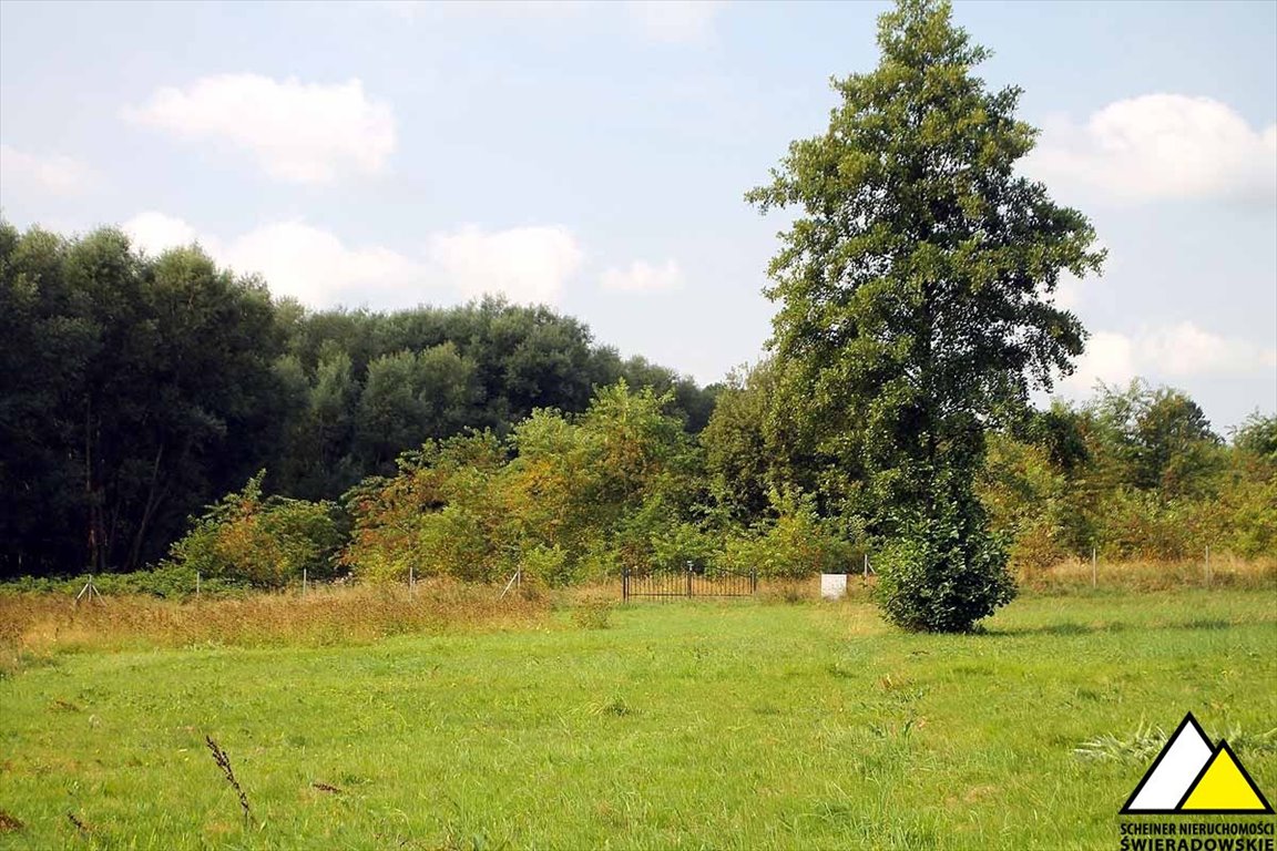 Działka budowlana na sprzedaż Wolimierz  3 310m2 Foto 1